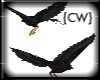 {CW}Flying Crowsw/sounds