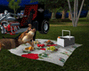 Red Roses Picnic