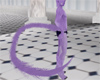 [JD] Purple Whip Tail