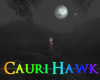 JL Haunted Road Spirits
