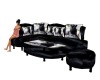 Black Jaguar Couch