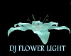 DJ  teal flower lite