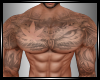 Muscular Body
