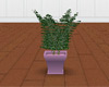 Lavender Plant Pot