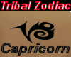 Tribal Zodiac Capricorn