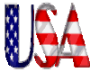USA Word Flag