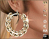 Modern Gold Earrings