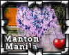 !P Manton de Manila 4