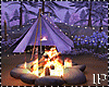 Bonfire Camping Forest