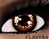 [F84] Vivid Chocolate F