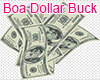 Boa Dollar Buck