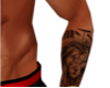 Lion N Skull Arm Tattoo