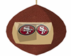 ~D~ SF 49ers Suspended 