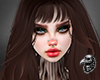 ☯ Ohndreo Chocolate