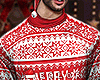 Christmas Sweater