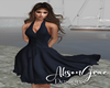 Dany SftNavy Dress