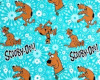 Scooby Doo Pool Party