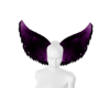 purple ears