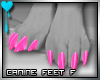 D~Canine Feet:Pink2 F