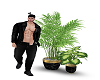 B/P Plants