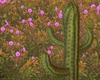 Love Blossoms Cactus