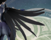 Bayonetta Add feather R