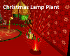 Christmas Lamp Plant