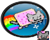 Nyan! Nyan Cat Plugs