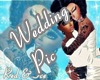 -V-RedIceWeddingPic