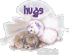 Hugs