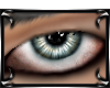 !S Evanescent eyes: v1-M
