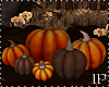 Pumpkins Fall Halloween