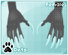 [Pets] Moon | claws F