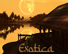 Exotica