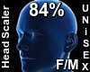 F/M Head Scaler 84%