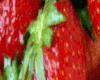 Dubstep-Strawberry