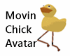 Movin Chick Avatar