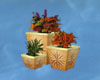 3 Potted Plants