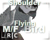 R|C Bird Grey M/F