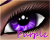 Purple Eyes [F]