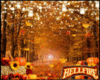 Fall BackDrop 2 Sided