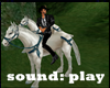 horse x 2 + sound