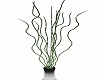 Steel Potted Salix