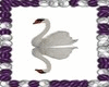 ~R~ B Animated Swan