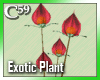 [C59] Exotic Red 3