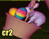 Rabbit Easter Basket F+M