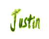 Justin (green)