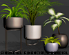 Monochrome Planter