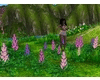 5 Pink Lupins Animated