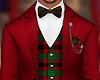 Elegant Christmas suit